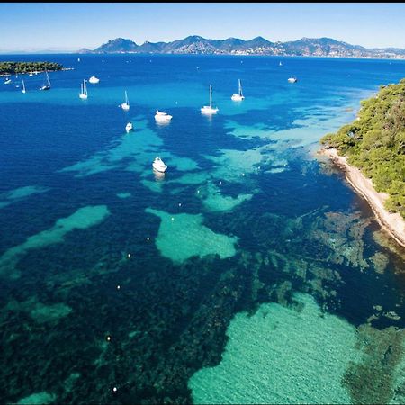 Le Bristol Διαμέρισμα Κάννες Εξωτερικό φωτογραφία